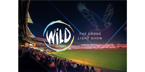 Drone Show